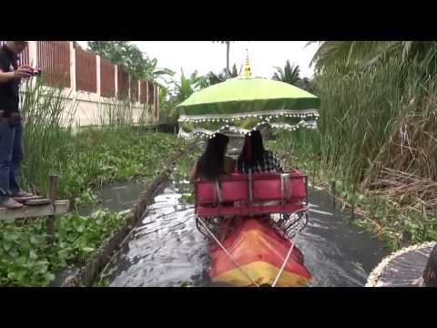 Elephant Ride (Thailand)