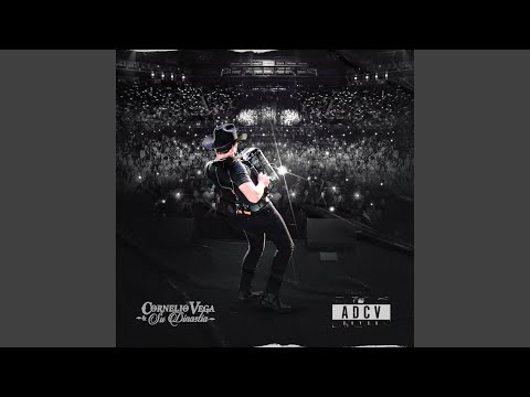 No Me Hubiera Enamorado