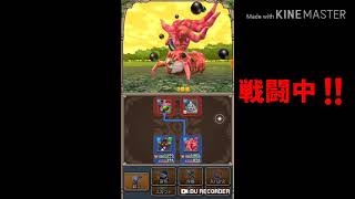 【テリワン生声実況】さそいの扉-黄金郷-入手魔物とは⁉️part13
