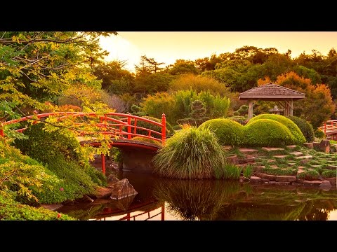 Meditation Music - Relaxing Garden - Peaceful Music