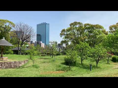水辺の散策～藤田邸跡公園～