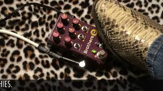 Video thumbnail for Chase Bliss BROTHERS AM with small dirty Princeton & Suhr Tele by gearmanndude