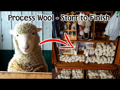 Raw Wool Processing Start to Finish - Sheep & Alpaca Fleece