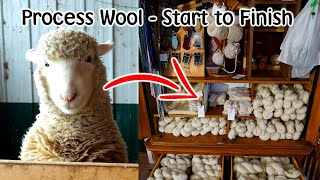 Raw Wool Processing Start to Finish - Sheep & Alpaca Fleece