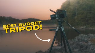 The BEST Tripod For Beginners?! (Smallrig/Potato Jet Tribex SE)
