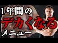 【筋トレ】デカくなるためにやるべき1年間のトレーニングメニューの組み方を教えます