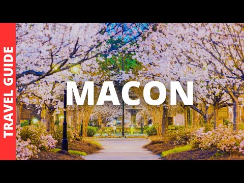 Macon Georgia Travel Guide: 18 BEST Things To Do In Macon Georgia