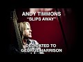 Andy Timmons - "Slips Away"