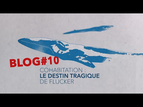 Confinement et biodiversité - épisode 10 : cohabitation- le destin tragique de Flucker