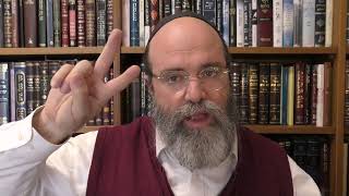 Zera Shimshon    Shmini   Wein  Dämonen Rabbi Shlomo Raskin