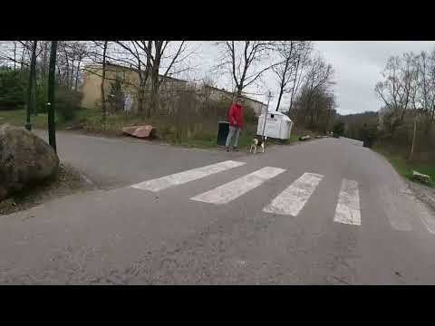 Radtour durch den Centerpark Bostalsee, von ganz oben bis zum See.