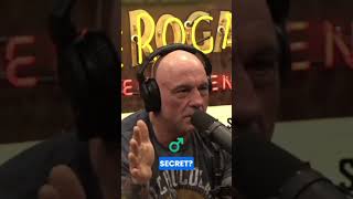 Will Secrets Be Impossible in the Future? 🔒 Jensen Huang on Quantum Computing #nextgenai #nvidia