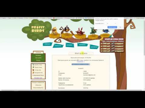 Profit Birds - СОВЕРШЕННО #НОВАЯ ИГРА ОТ ТЕХ ЖЕ АДМИНОВ!! НОВИНКА