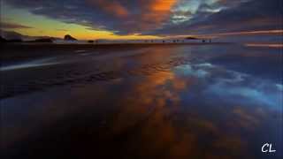Salt Tank - Sargasso Sea (Eugina)