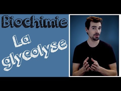 Biochemistry course: Glycolysis