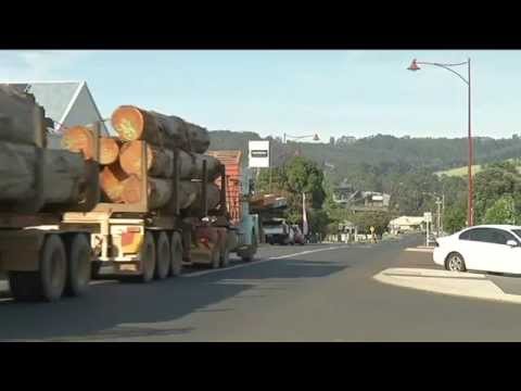 Jasper Jones filming in Pemberton: ABC News story