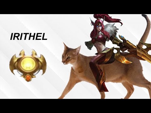 Tips to Expert / Complete Irithel Mastery Code |#57|