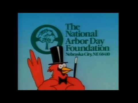 News View returning soon!