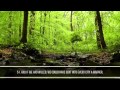 Surah Al Furqan Khalid Al Jaleel Heart Touching Recitation