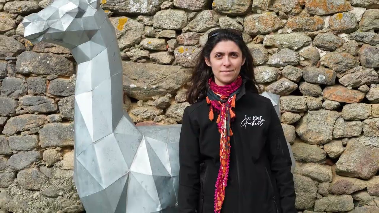Visitez un élevage de lamas en duo avec Angélique - Vidéo