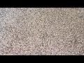 The Land Before Time 1989 VHS Overview Version 1