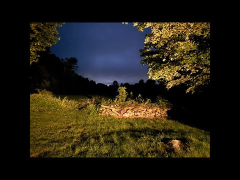 Video Thumbnail for crickets and frogs in CT countryside