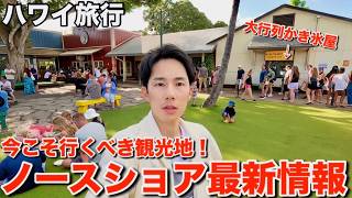 【ハワイ旅行】観光に来てほしい…豪雨に見舞われたノースショアの最新情報をお伝えします