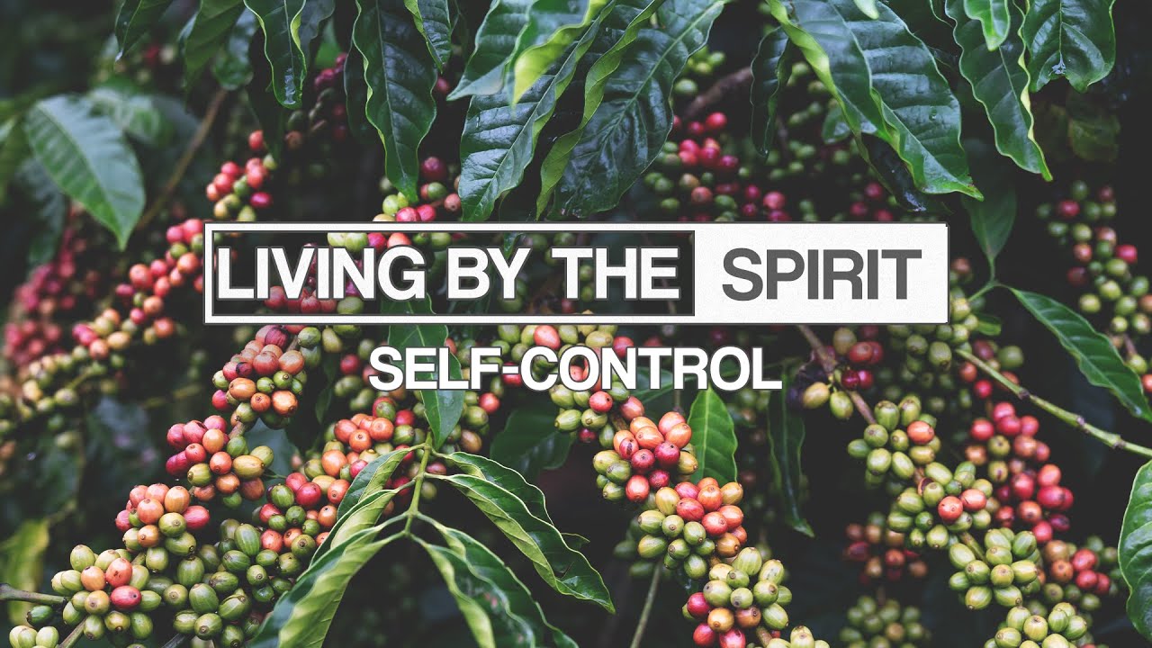 Self Control | Mike Brogen