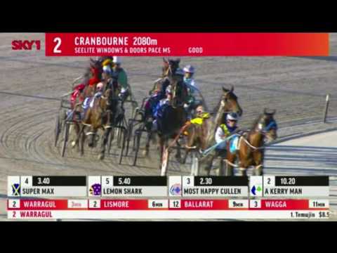 Harness Racing- Cranbourne- Race 2- February 21, 2017
