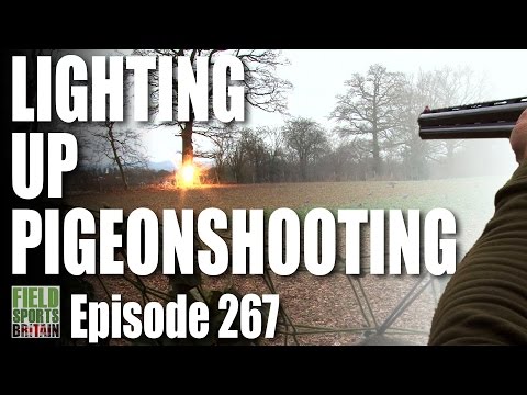 Fieldsports Britain – Lighting Up Pigeon Shooting