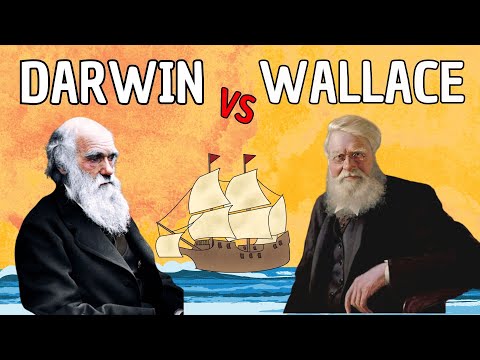 Darwin vs. Wallace: la teoría de la evolución por selección natural