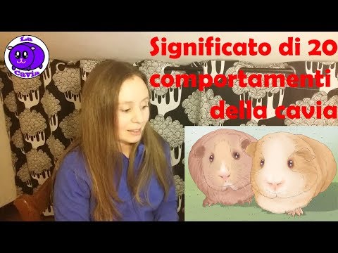 Olio di capelli della nonna Agafya Cura di calvizie in Dnipropetrovsk