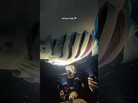 Nighttime is my absolute FAVORITE time to dive. Everything comes ALIVE after dark.