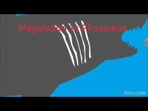 Megalodon vs Pliosaurus