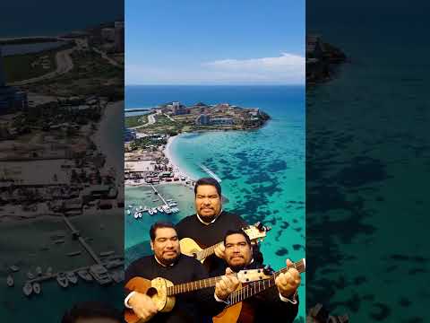 🎶🌴 Va sonando entre cerros  #venezuela #musica #guitarra #culturavenezolana #folklorevenezolano
