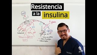 Resistencia a la insulina con Leo Martínez