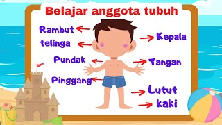 Download lagu Belajar Mengenal Anggota Tubuh Dalam Bahasa Indonesia & Bahasa Inggris - Kartun Anak Sekolah - Limb mp3