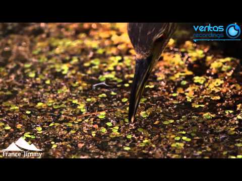 O.B.M Notion - Fatality (Etasonic Remix) [Veritas Recordings]