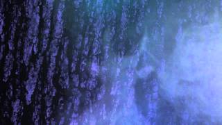 RRing - Singing Tower