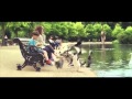 Geordie John Lewis Christmas Advert 2014 Parody - #GeordieThePenguin