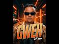 T Sean Gweh WYFL Riddim Official Music Video Zambian Dancehall 2026