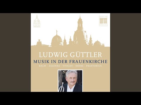 Magnificat in G Minor, RV 611: II. Et exultavit. Allegro