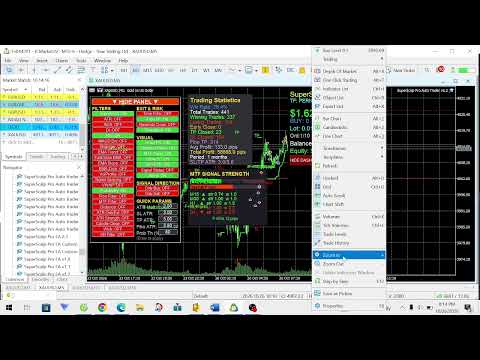 Video SuperScalp Pro Auto Trader