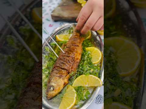 Moravska riba -Skobalj 🔥