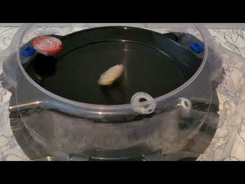 Gigant Gaia.Q.F and Beast Behemoth.H.H vs Acid Anubis.Y.O (Re-uploaded)