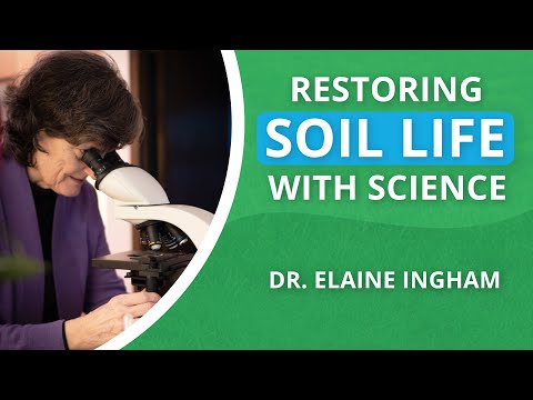 The Science of Returning Life to the Soil | Dr. Elaine Ingham