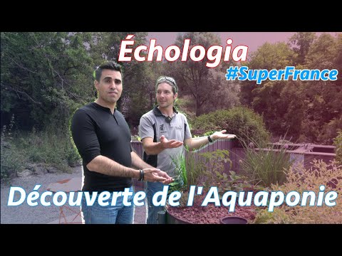 , title : 'Echologia - Centre de Formation en Aquaponie - #SuperFrance Mayenne'