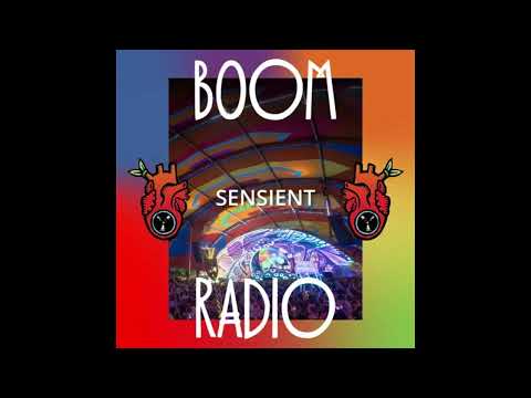 Sensient at Boom Festival | Alchemy Circle