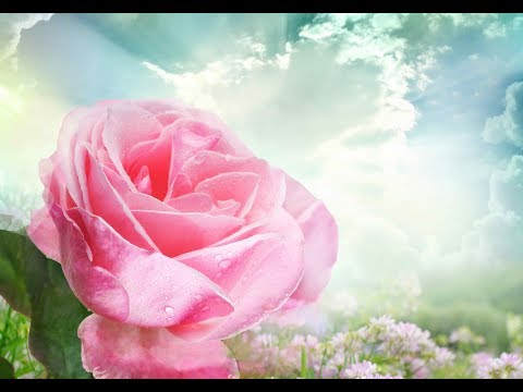 Peaceful Music, Relaxing Music, Instrumental Music "Celtic Dreams" by Tim Janis