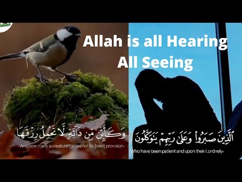 Who have been Patient | Allah is All Hearing | The Knowing | Syed Touheed | Knowledgeable | Learn